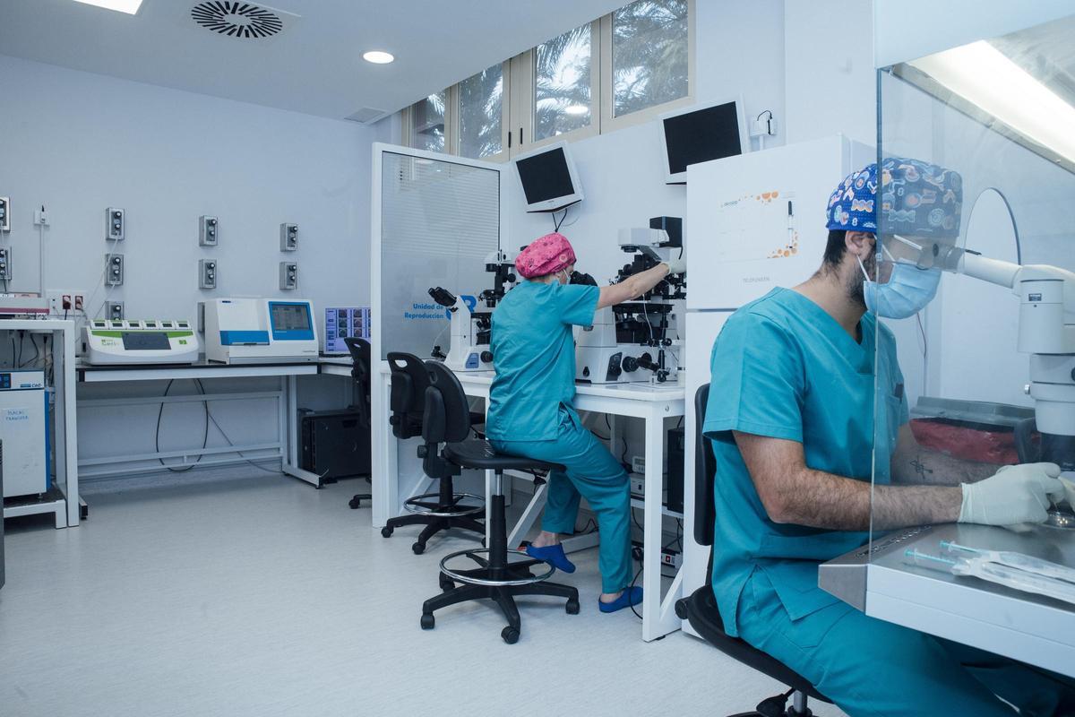 Laboratorio de embriología de la Unidad de Reproducción Vistahermosa.
