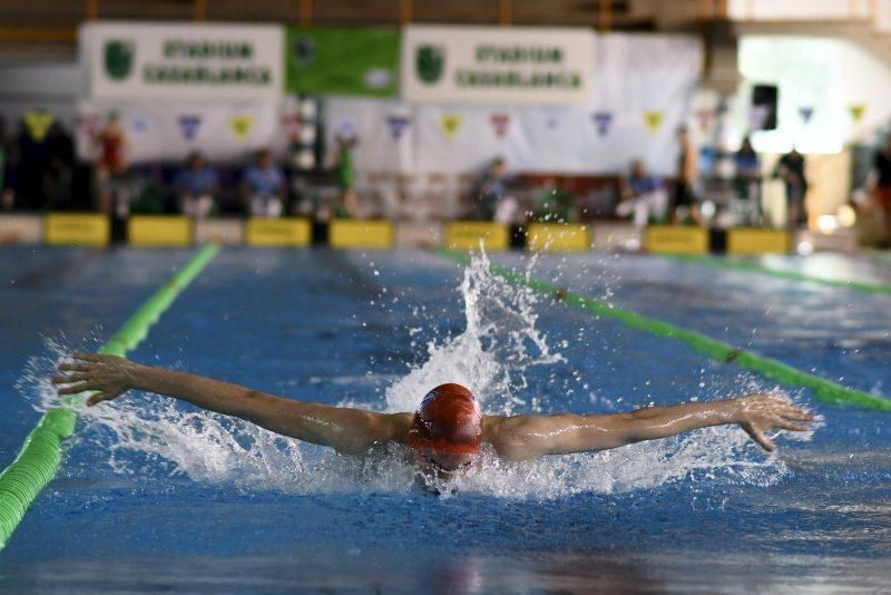 Trofeo Ciudad de Zaragoza de Natación