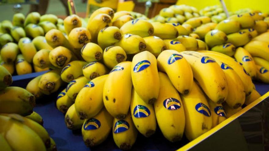 Medio millón de plátanos de Canarias, gratis en el Metro de Madrid