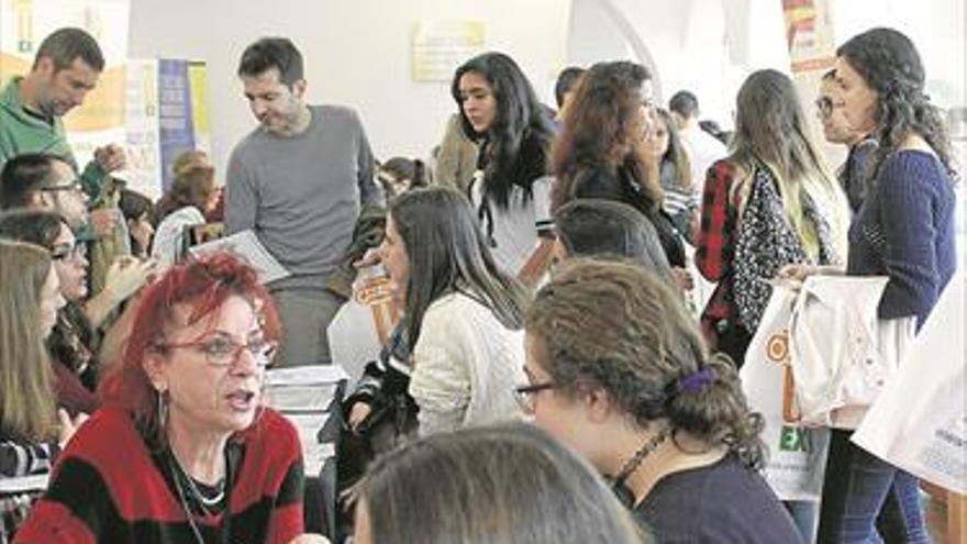 Una feria para lograr empleo