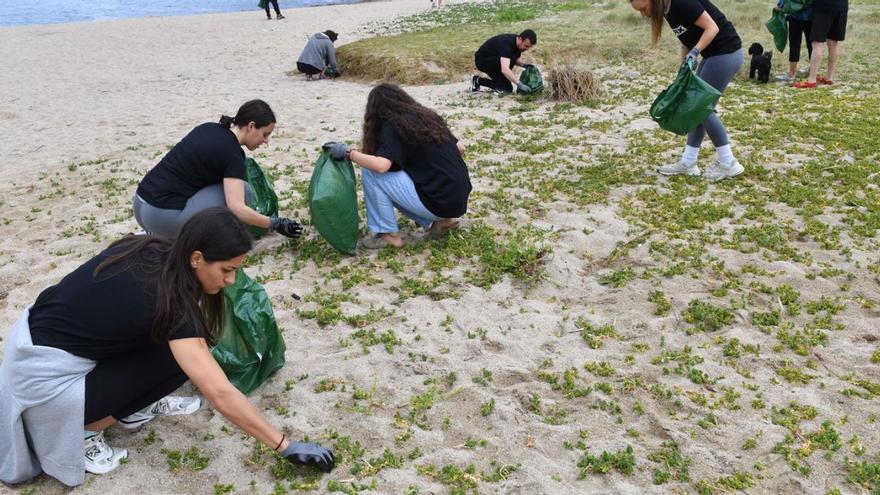 Limpieza de la playa de Bens por voluntarios.
