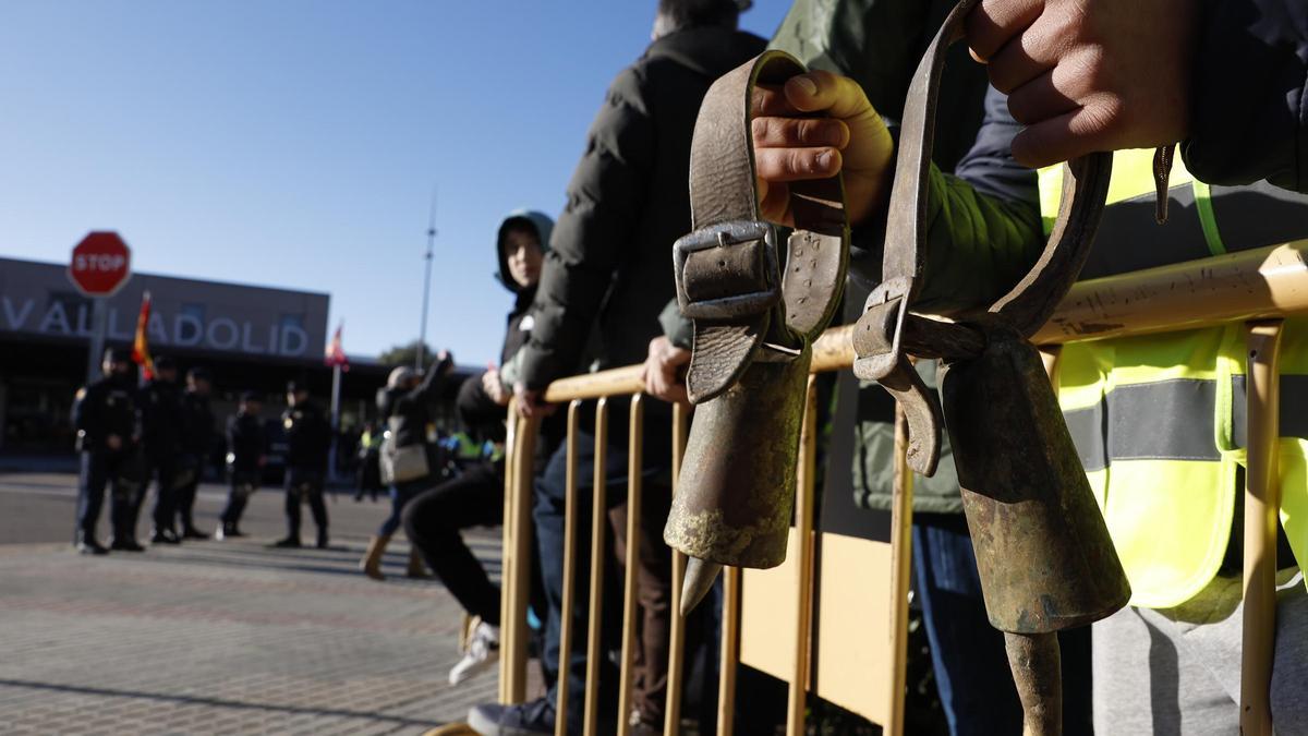 Varias personas participan en una protesta de ganaderos y agricultores junto a la Feria de Valladolid, donde se celebran este sábado los Premios Goya.