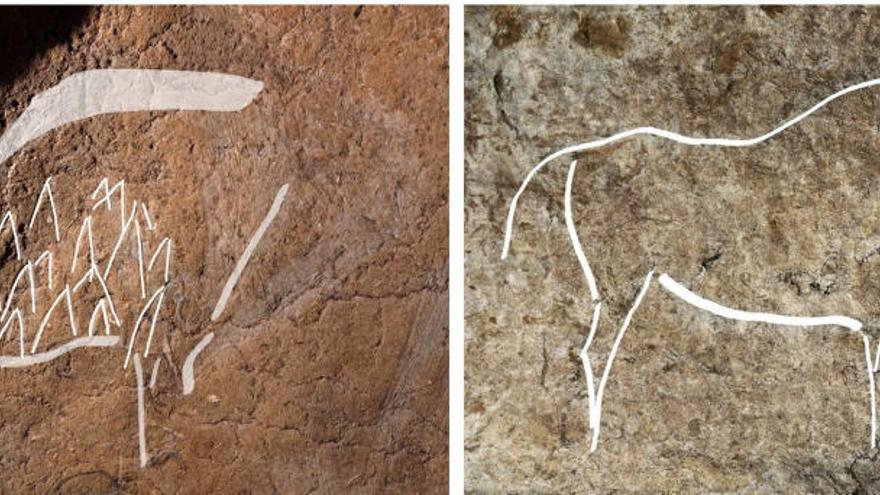 Animals del paleolític descoberts ara.