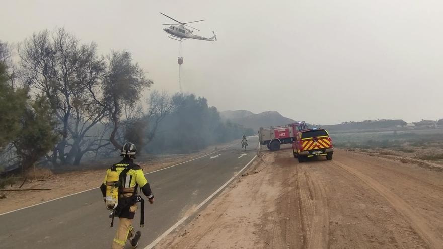 Arden 1.500 metros de árboles junto a la playa de El Charco en Águilas