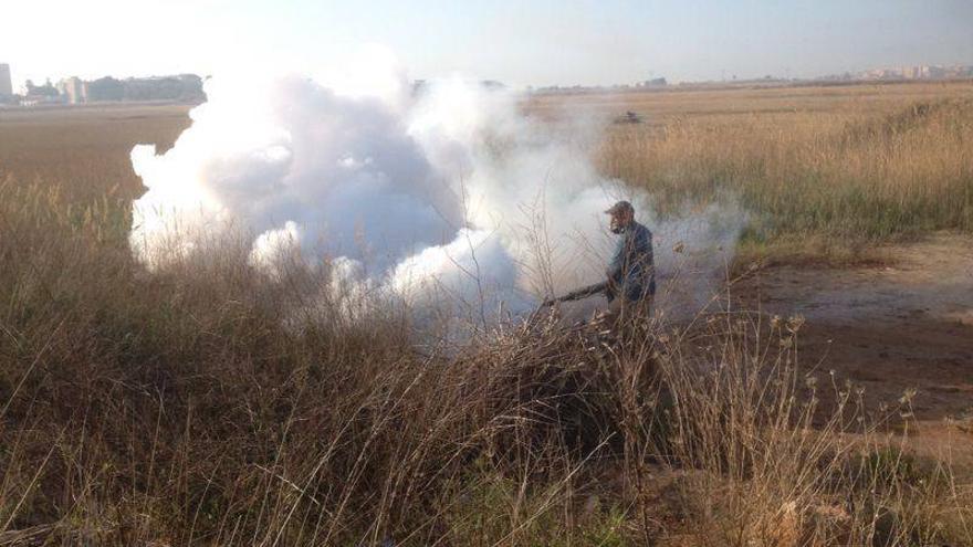 Nules &#039;ficha&#039; a los mosquitos