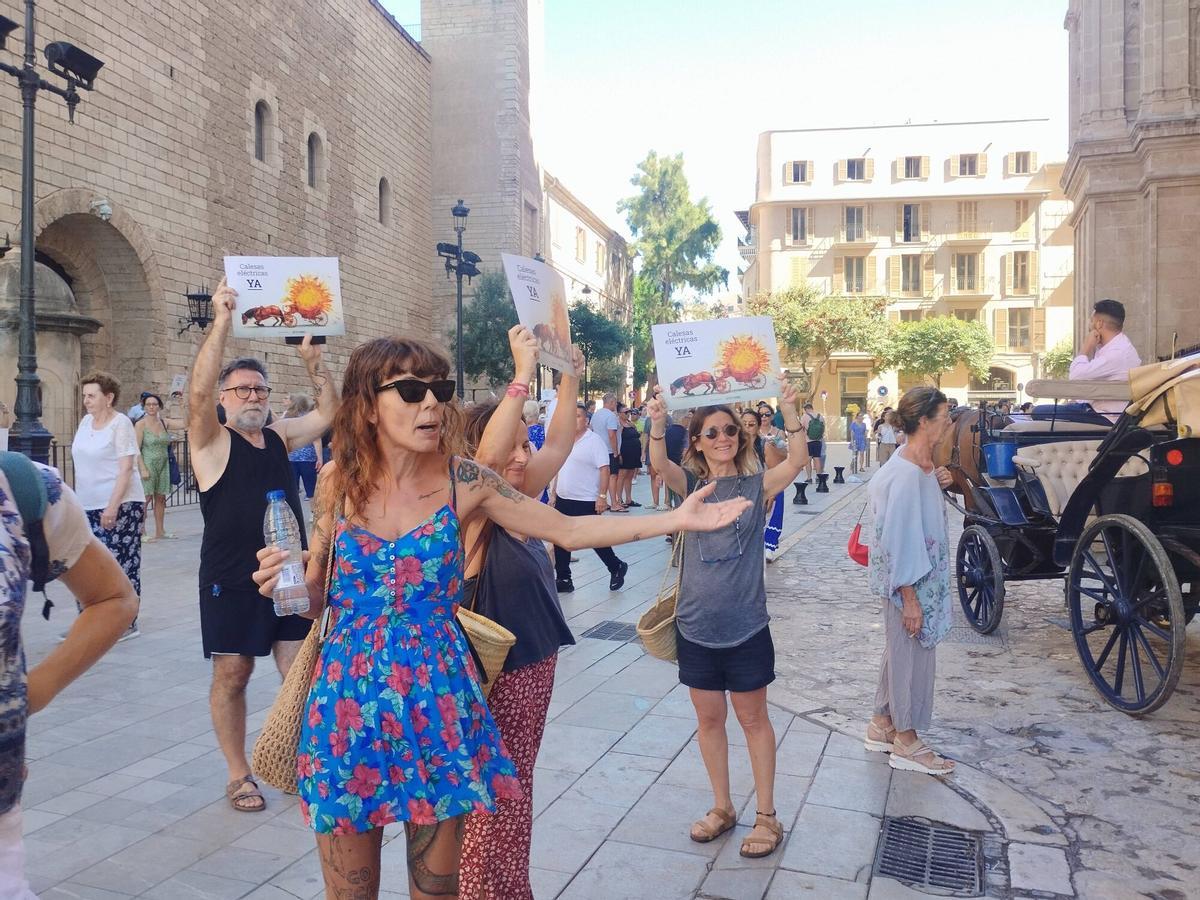 Imágenes de la protesta contra los caleseros
