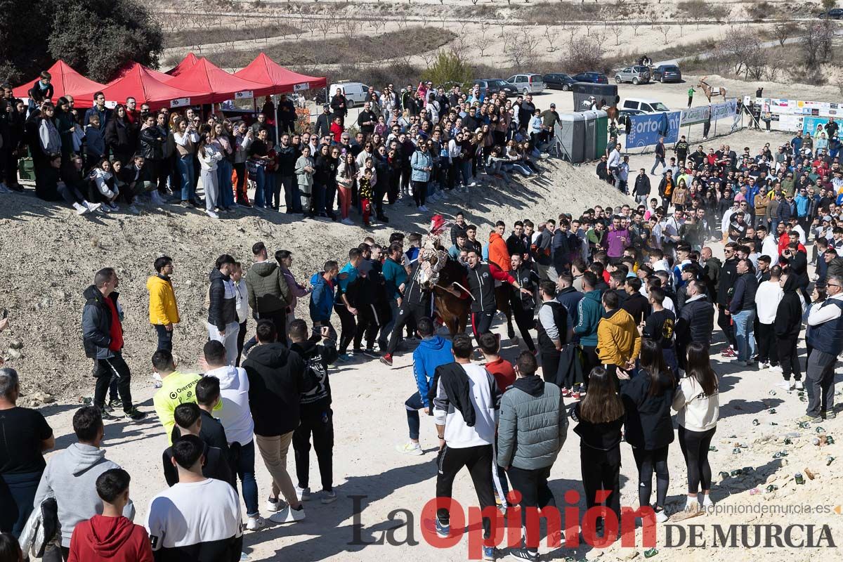 Convivencia Caballos del Vino de la Peña Artesano