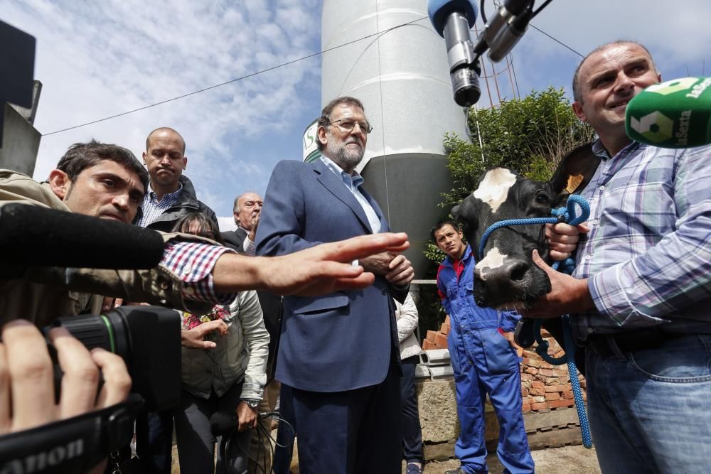 Visita de Mariano Rajoy a una ganadería en Gozón (Asturias)