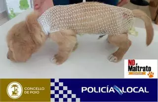 Rescatan un cachorro arrojado a un contenedor en Poio