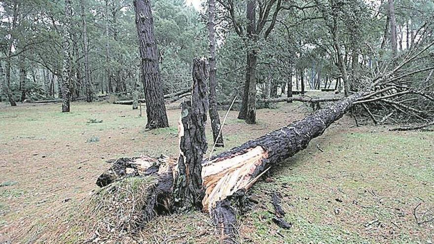 ‘Fabien’ cede tras dejar viento huracanado y olas de 20 metros