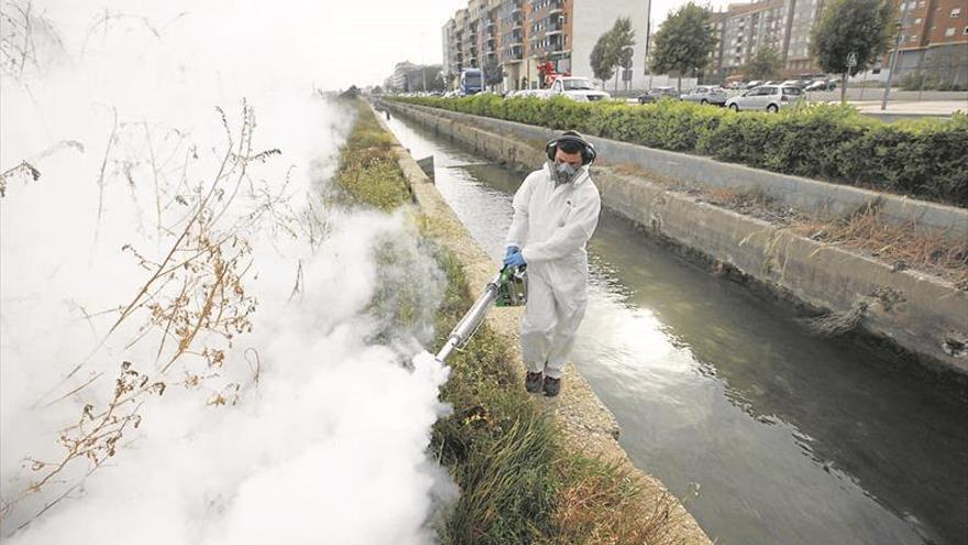 La lucha para frenar los mosquitos encara con buen pie la primavera