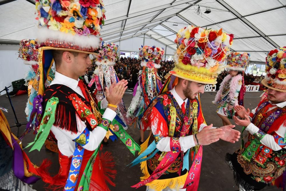 Numerosos vecinos disfrutaron del martes de Carnaval