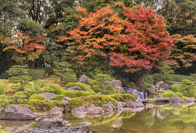 Jardín japonés Ohori con arces momiji bajo la lluvia