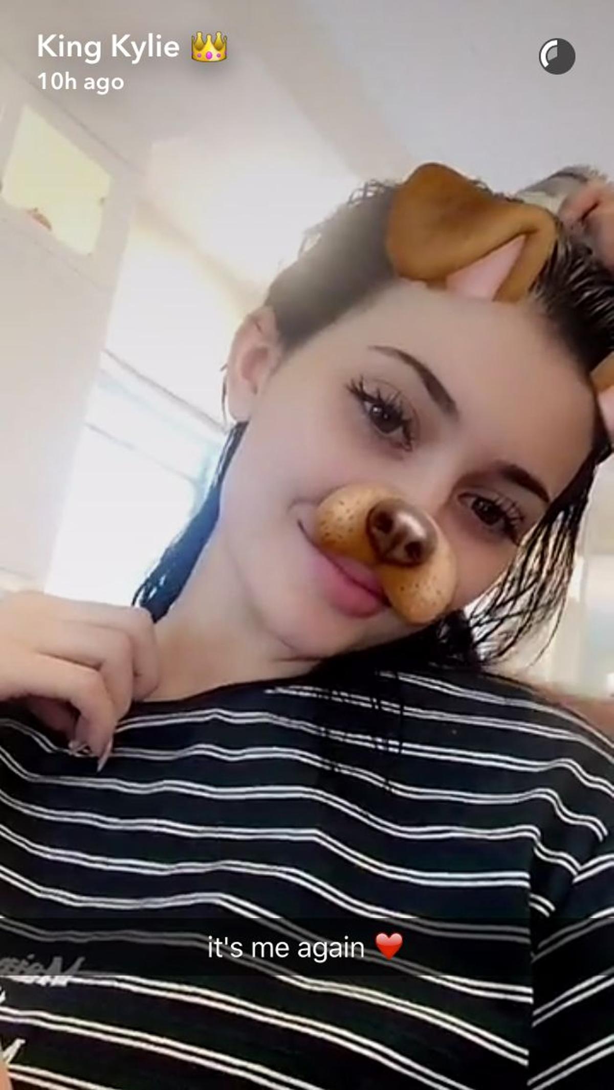 Kylie Jenner -con filtro de perro incluido- ha vuelto al moreno