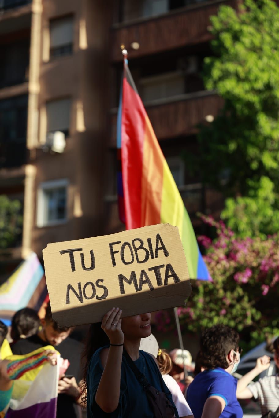 Así ha sido la manifestación del Orgull Crític en València