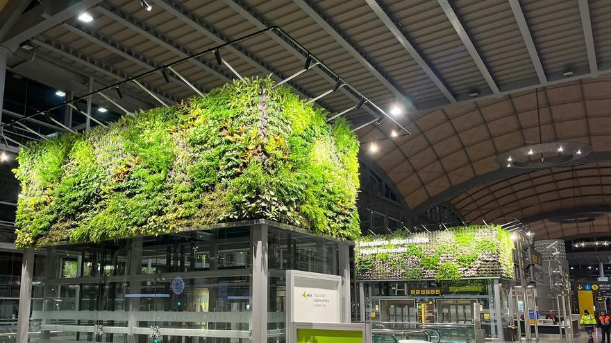 El aeropuerto de Alicante-Elche instala jardines verticales para mejorar su imagen ante los viajeros