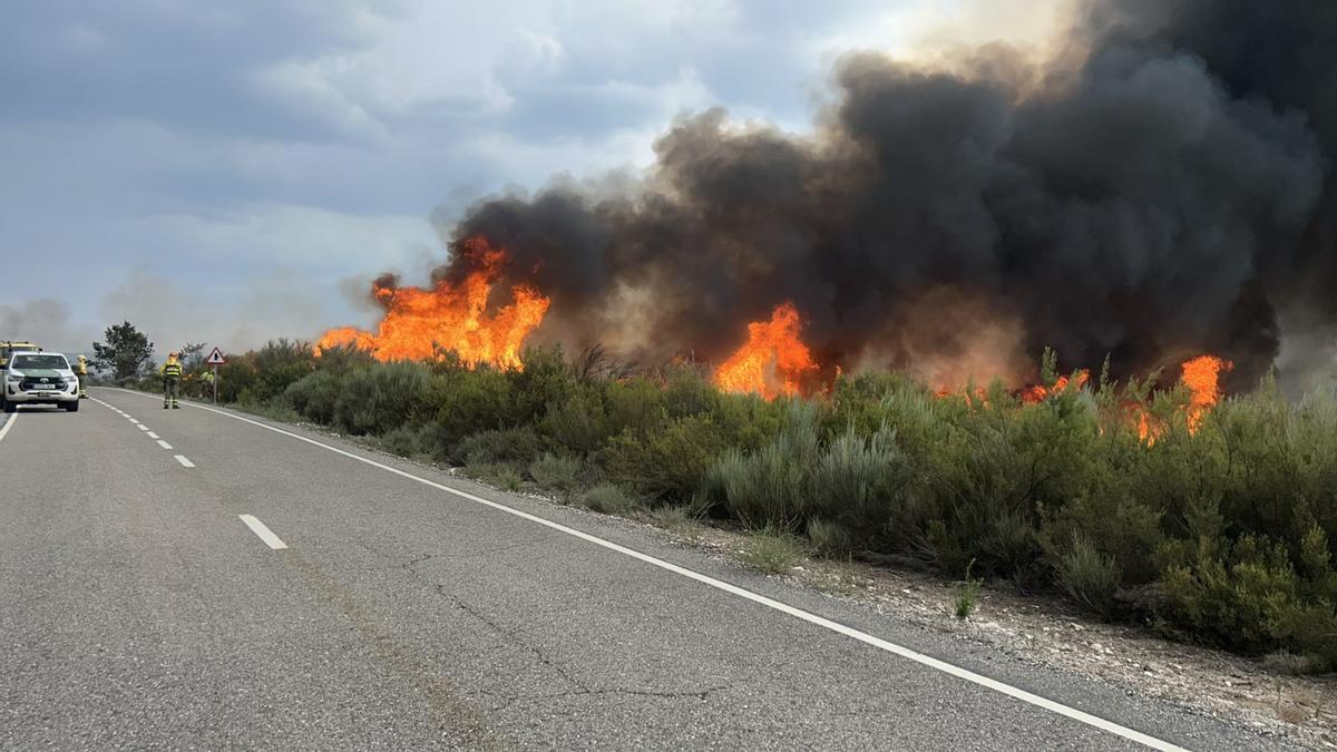 Incendio en San Ciprián de Hermisende