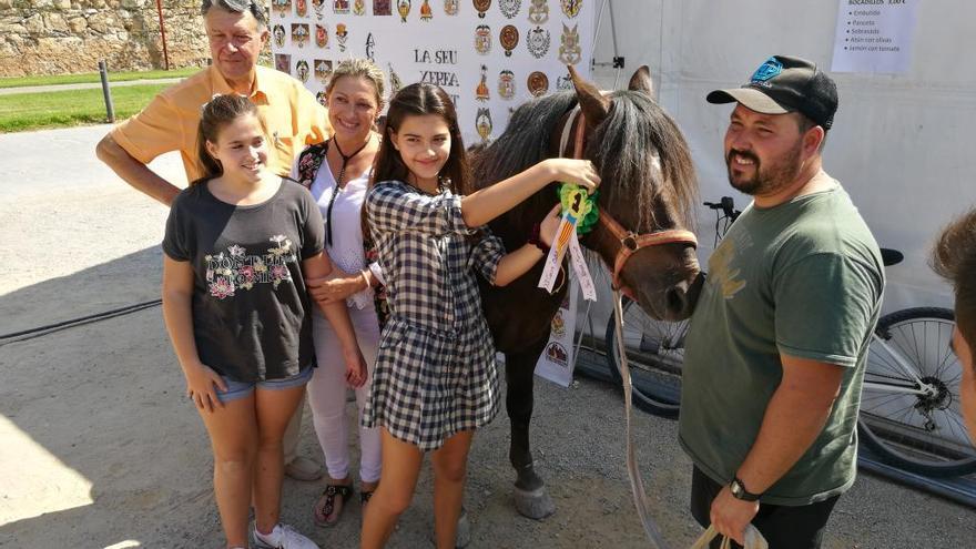 Campeonato fallero de caballos de tiro y arrastre