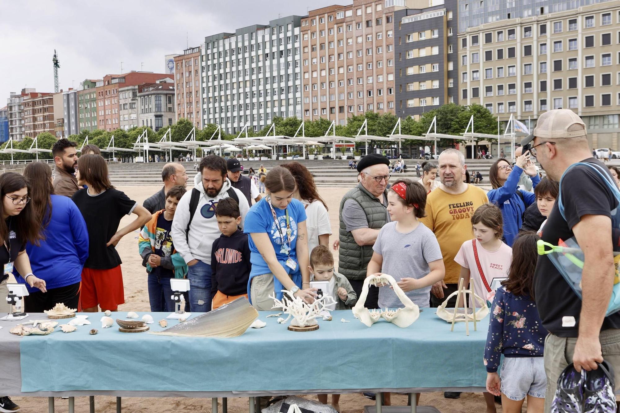 Así fue la suelta de tiburones en Gijón por el Día de los Océanos (en imágenes)