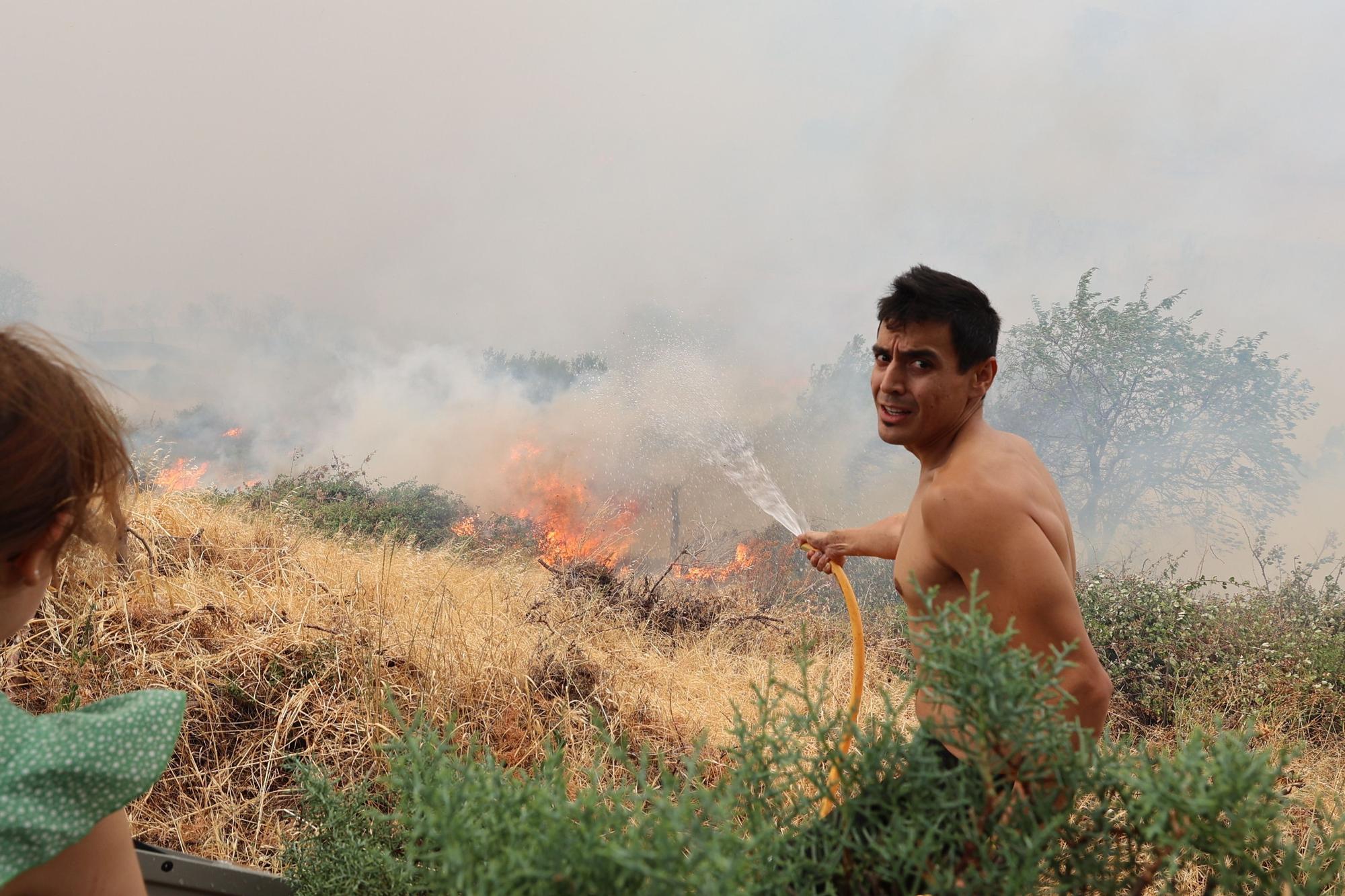 EN IMÁGENES | El incendio forestal de Añón de Moncayo