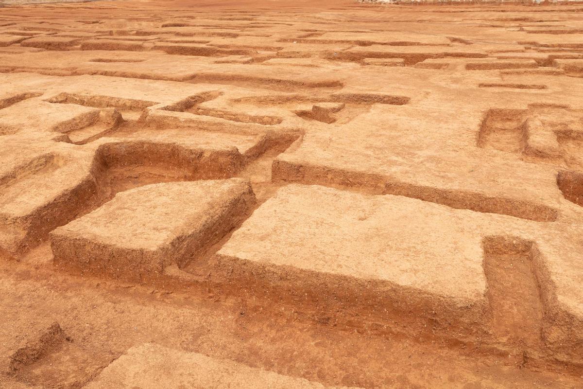 Can Cantó, una zona de cultivo para los púnicos en Ibiza