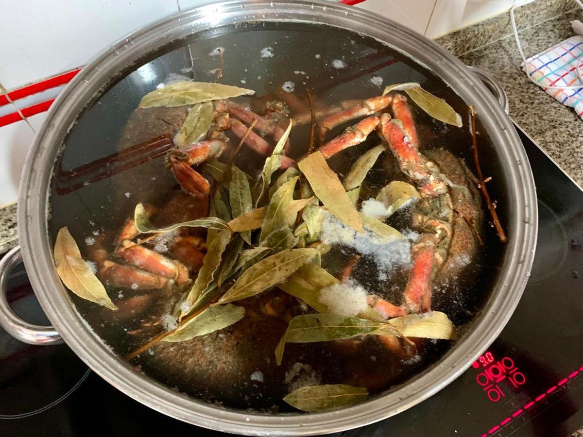Los centollos, listos para cocer