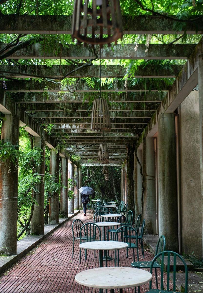 La Casa del Té y otros bocados