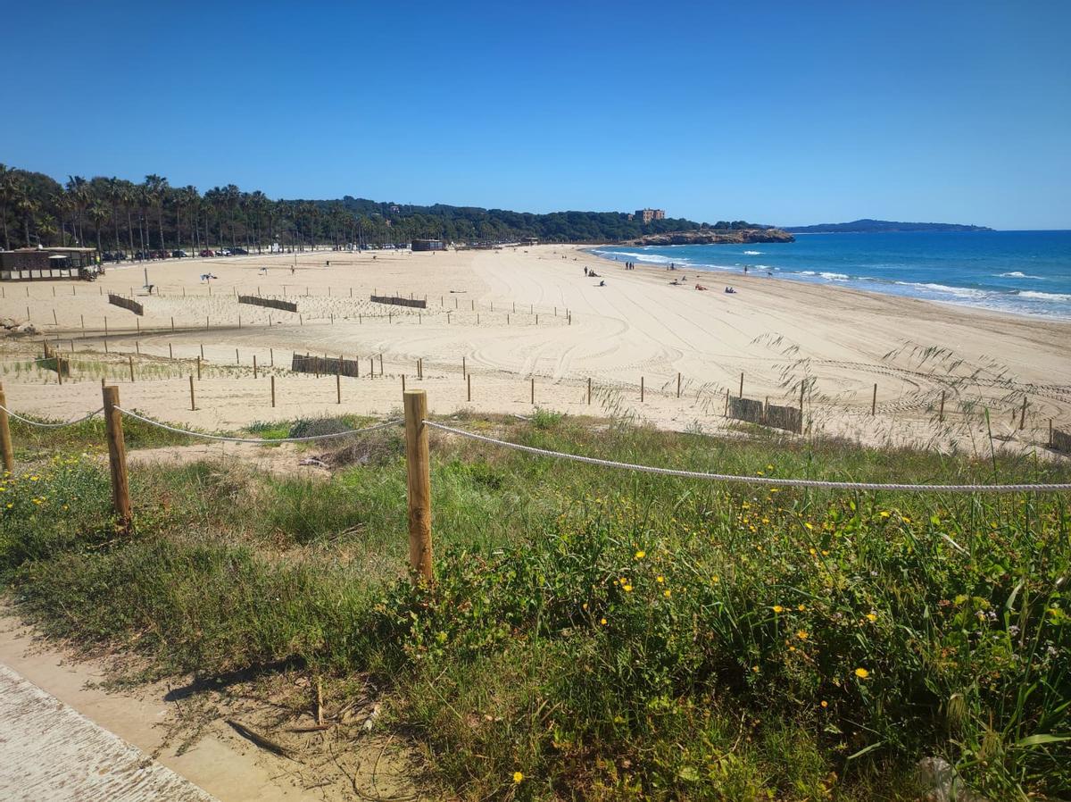 Renaturalización de la playa de l'Arrabassada de Tarragona, dentro del proyecto Greenbelt'26.