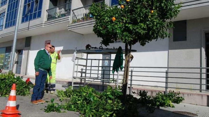 Márquez supervisó los trabajos en la calle Tranvía. // FdV