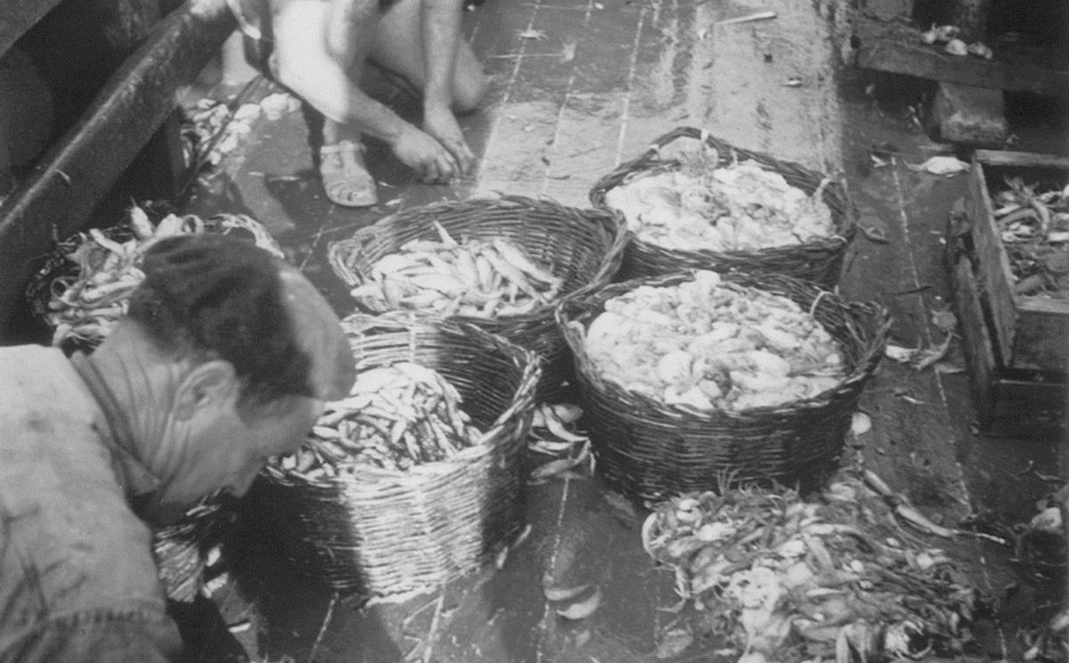 Capturas de los pescadores de Calp.