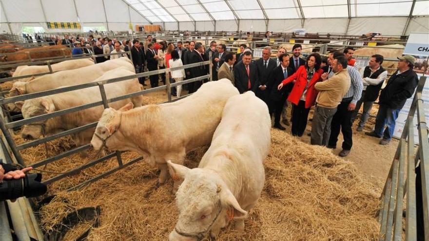 Abogan por la unión en el sector para ser competitivos frente a terceros