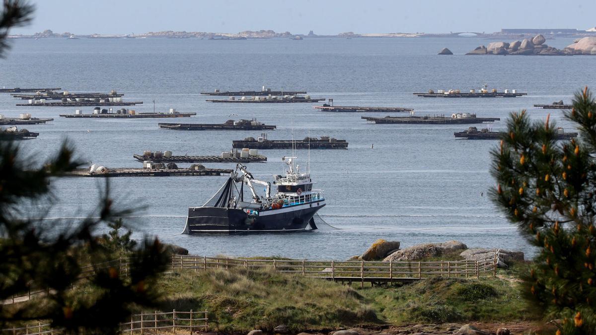 El cerquero «Novo Rosymar» en plena faena a la altura de A Illa de Arousa.