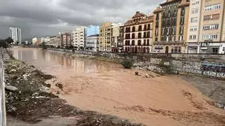 De la Torre defiende que los puentes plaza del Guadalmedina: no supondrían "ningún riesgo" en caso de DANA como la de Valencia