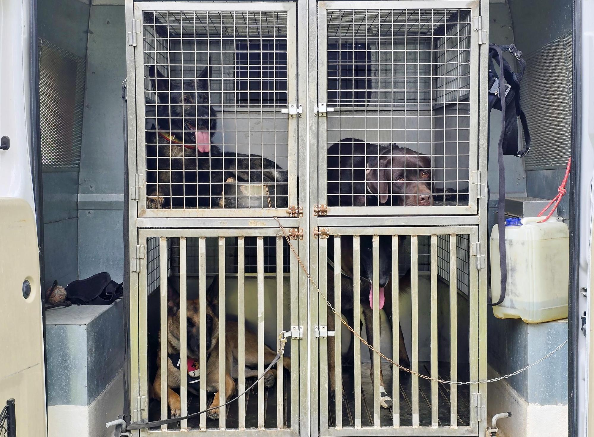 Exhibición de la Policía Nacional en el auditorio de Castrelos en Vigo