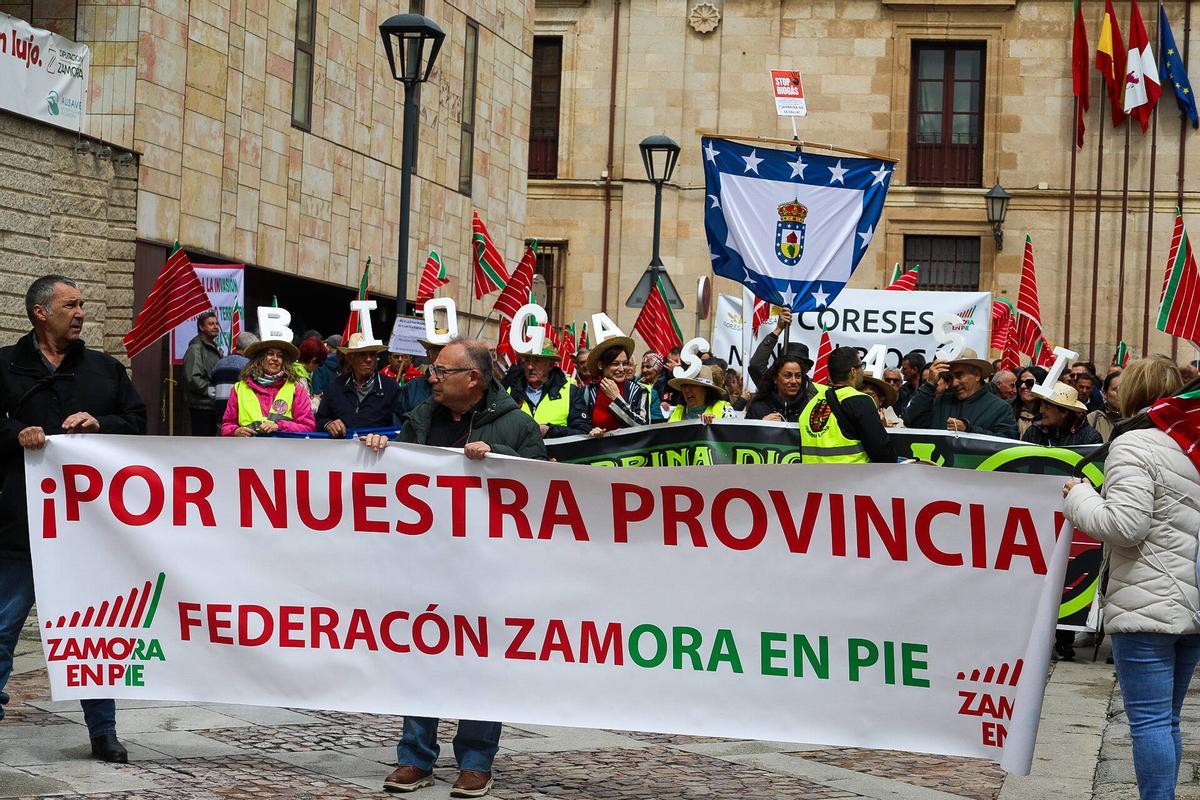 Ni molinos ni biogás: la oposición al nuevo mapa energético convoca a un millar de zamoranos en la capital