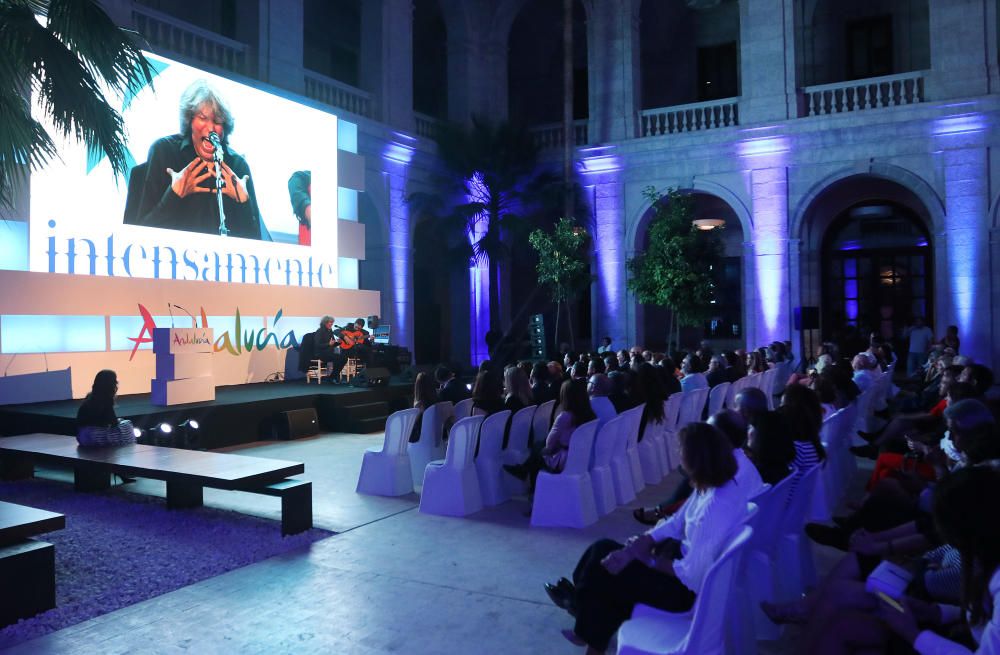 Presentación de la campaña 'Andalucía, intensamente', en la Aduana