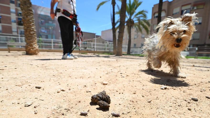 malos olores ponen coto a los parques caninos en Elche