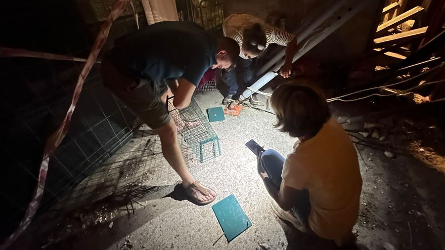 Salvan tras un rescate de 12 días a un gatito que quedó atrapado y emparedado en la casa en ruinas de la Candelària de Xàbia