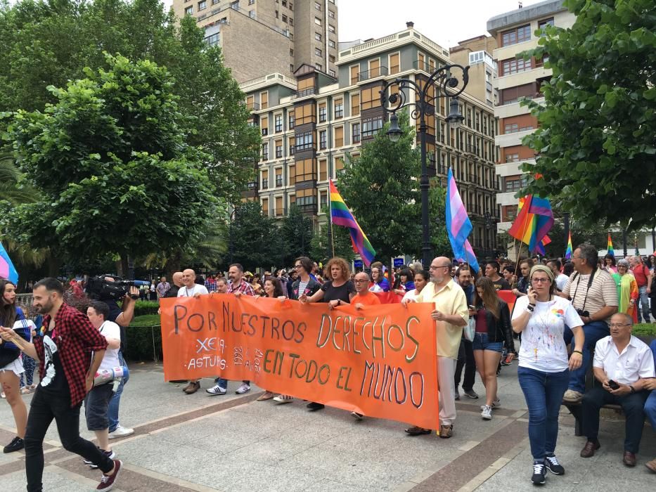 Manifestación del Orgullín del Norte.