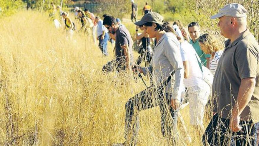 Los voluntarios peinan un monte en Pontevedra durante la batida.