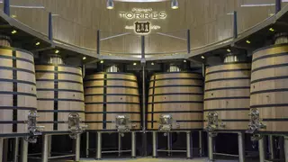 Familia Torres invertirá 6 millones en construir una bodega de vinos sin alcohol