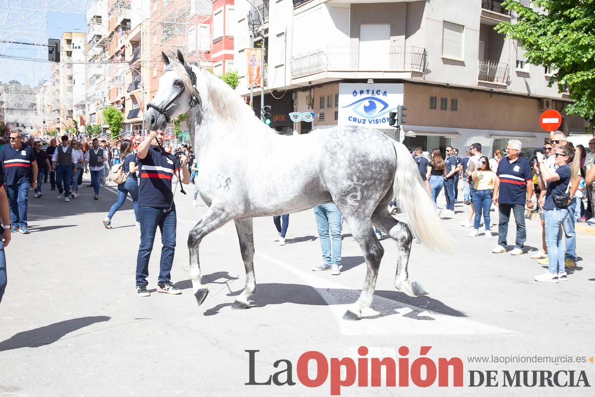 Pasacalles caballos del vino al hoyo