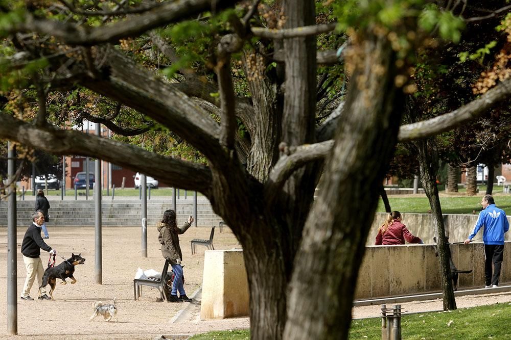 Calma tensa por el coronavirus en los barrios desfavorecidos