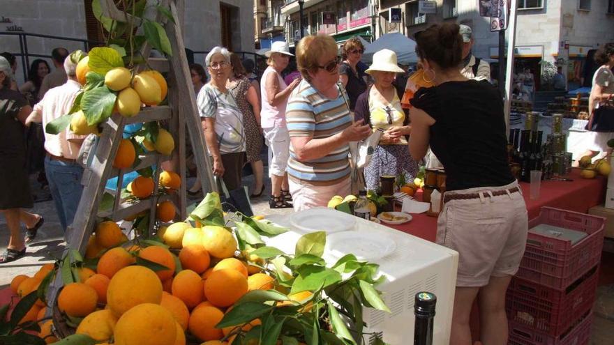 Naranjas de Sóller, en un expositor.