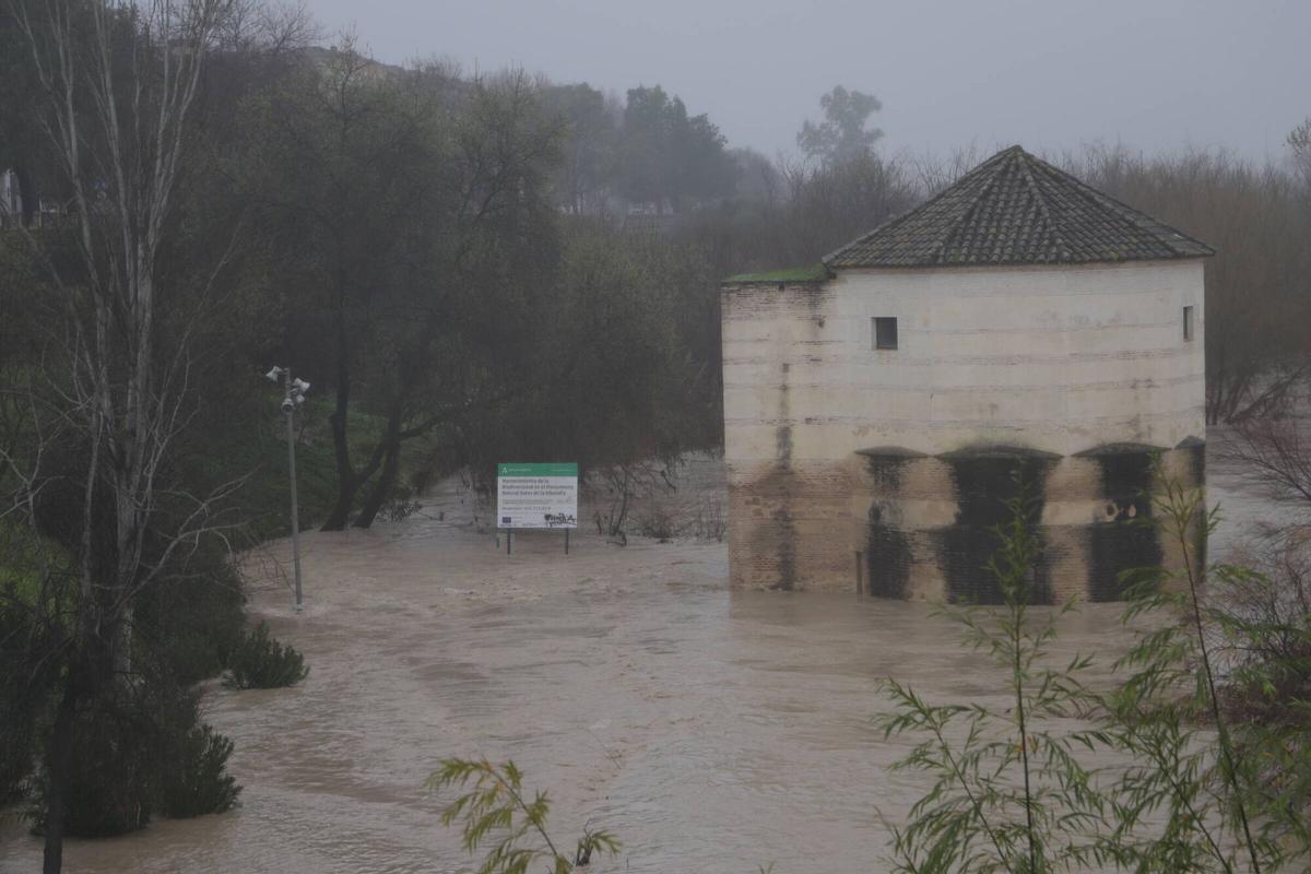 Molino de San Antonio este miércoles.