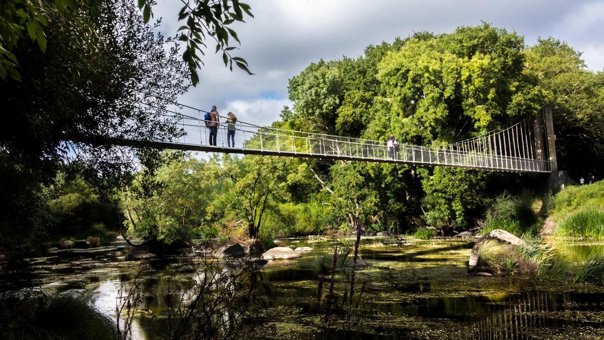 Vista del puente colgante de Outeiro de Rei (Lugo).