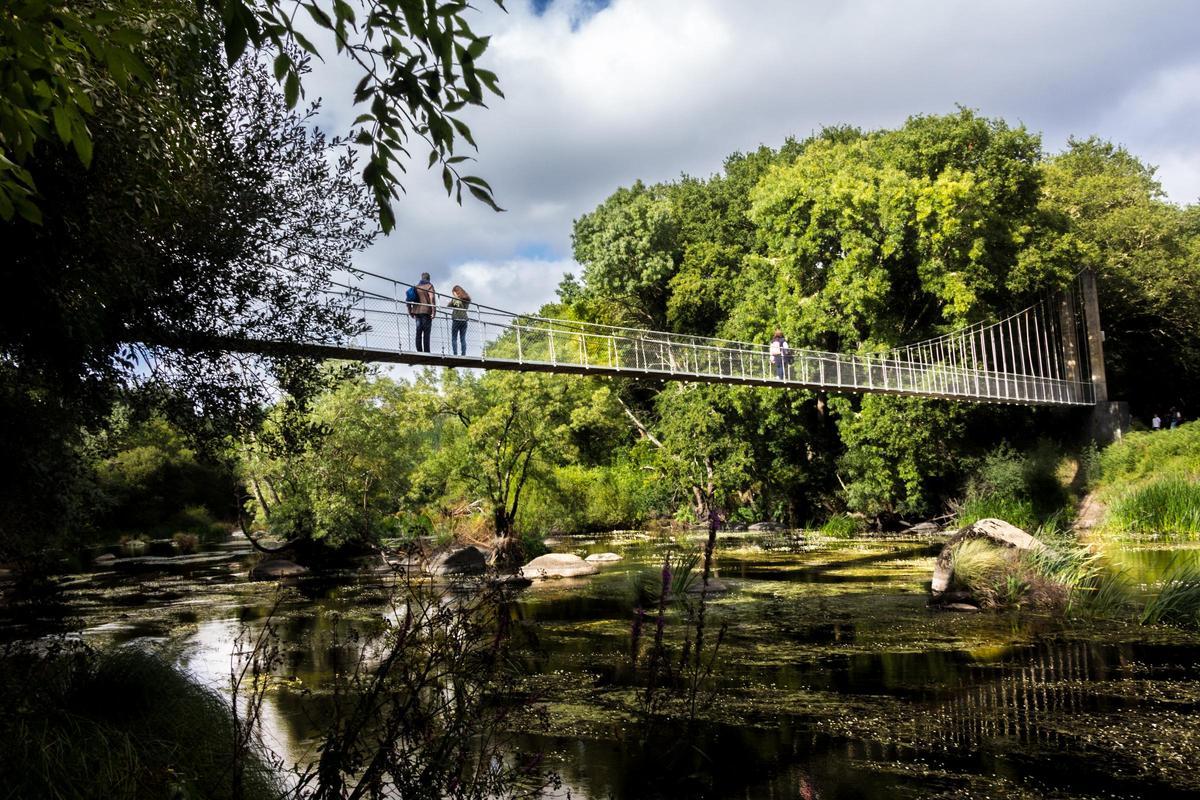 Vista del puente colgante de Outeiro de Rei (Lugo)