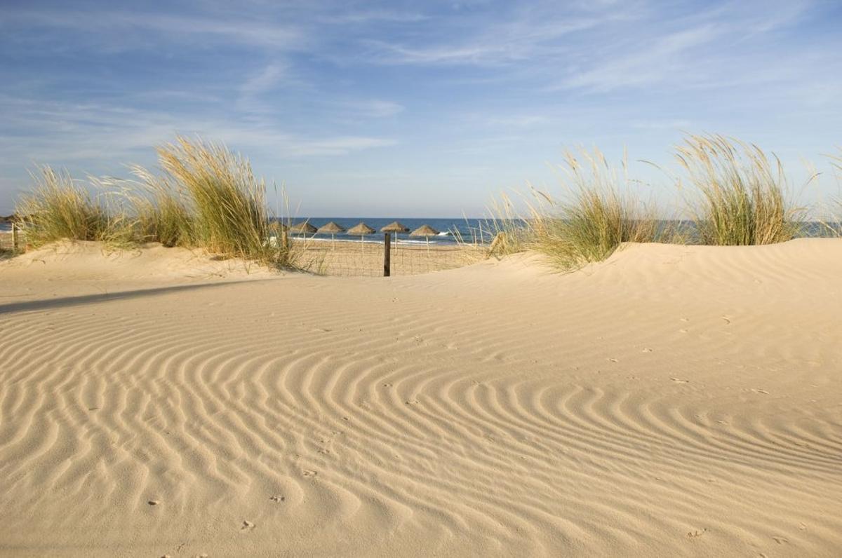 Dunas de Guardamar.