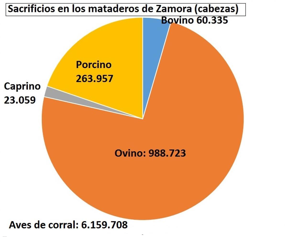 Sacrificios en los mataderos de Zamora en 2022