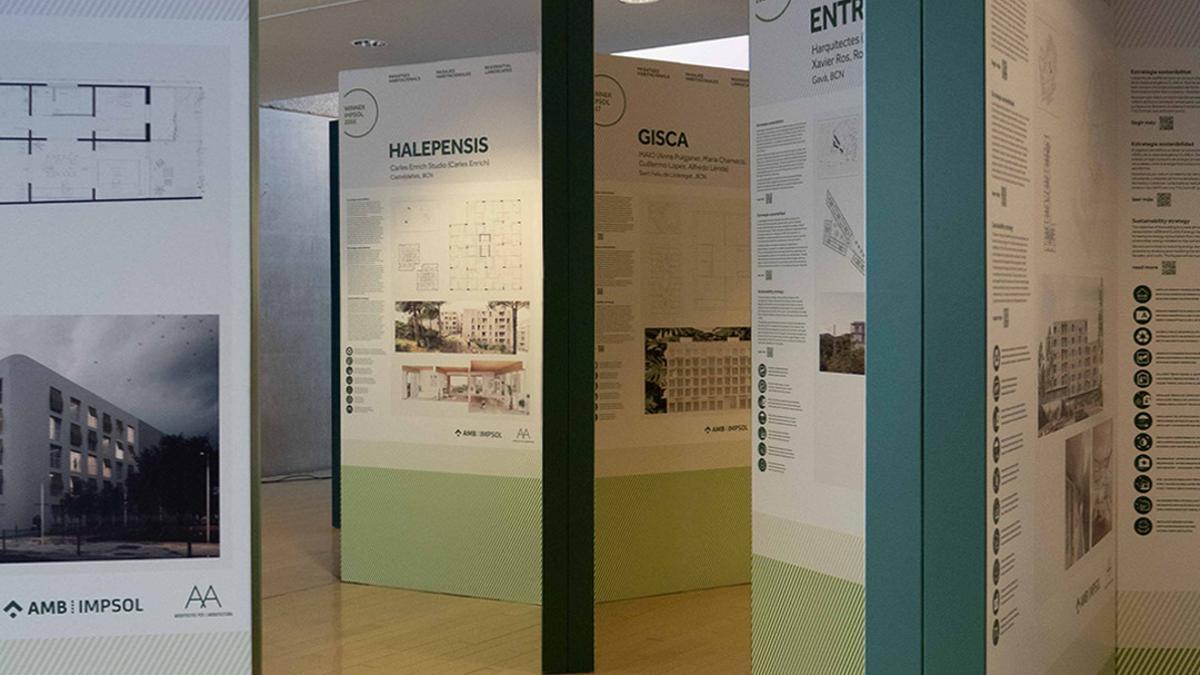 Una imatge de la mostra